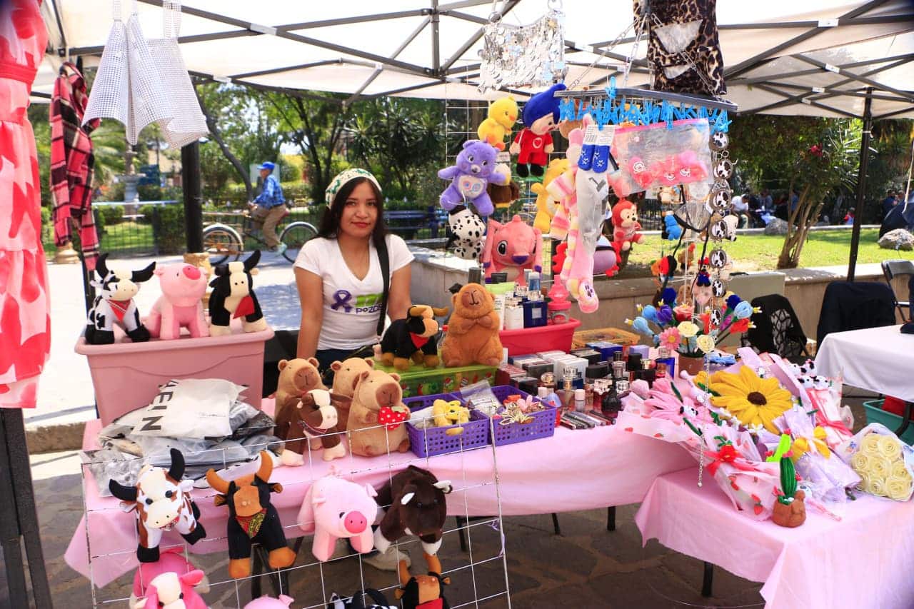 emprendimiento villa de pozos mujeres