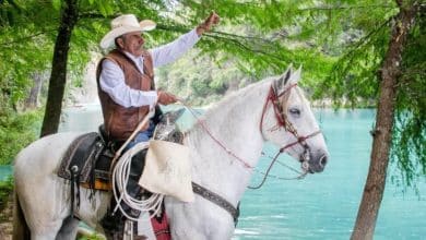 Eliseo Rodríguez El Vaquero