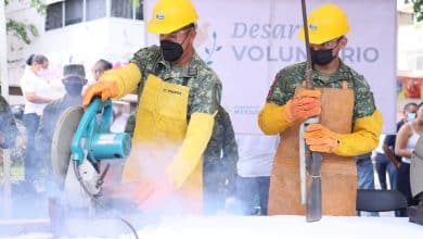 Feria de Paz y desarme voluntario