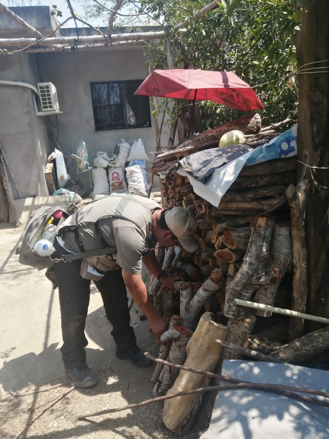 fotos acciones chagas servicios de salud