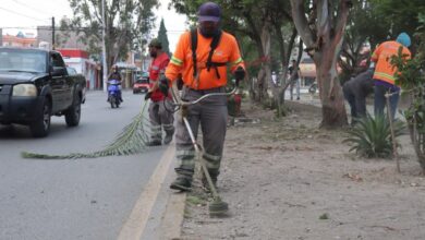 gobierno municipal slp