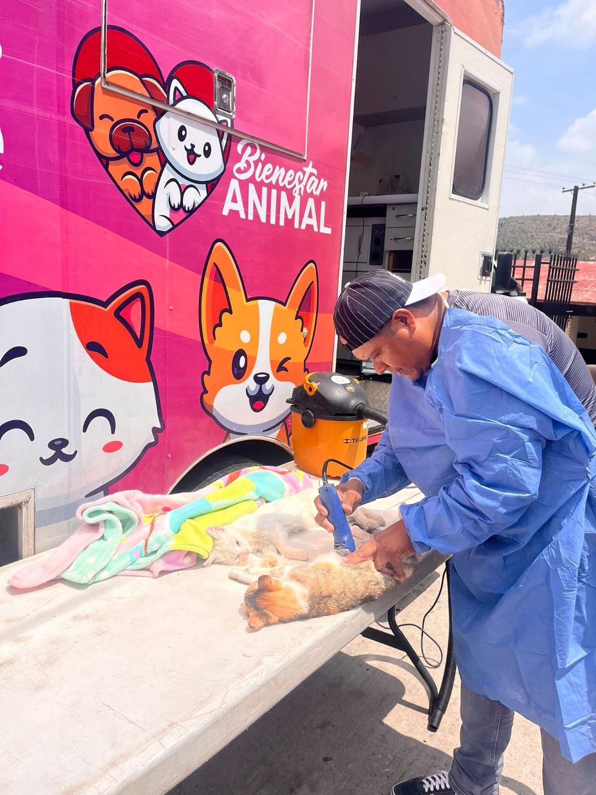 jornadas esterilizantes perritos