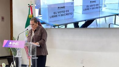 INE Guadalupe Taddei