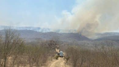 Incendio forestal Zaragoza Casas Viejas