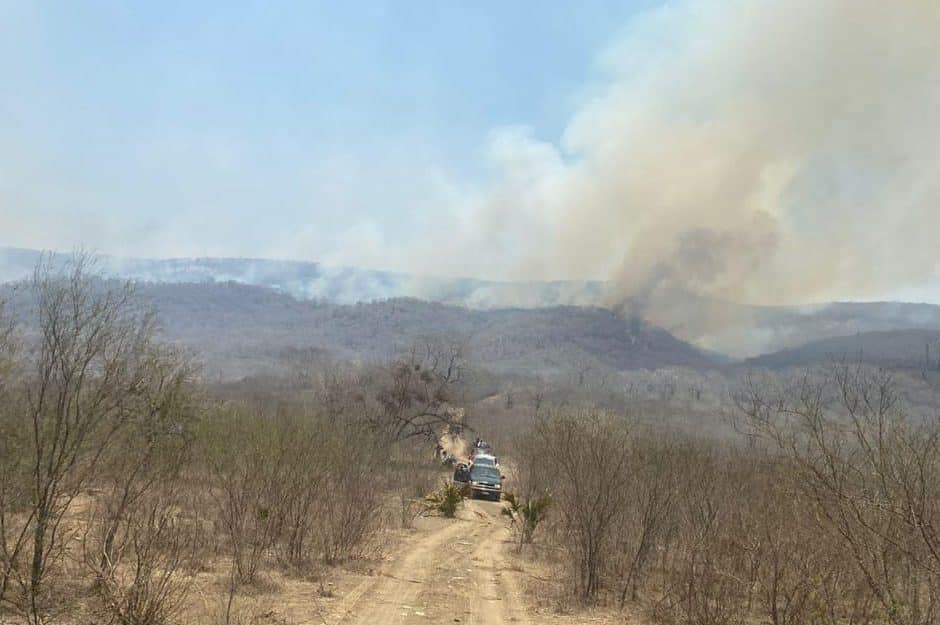 Incendio forestal Zaragoza Casas Viejas