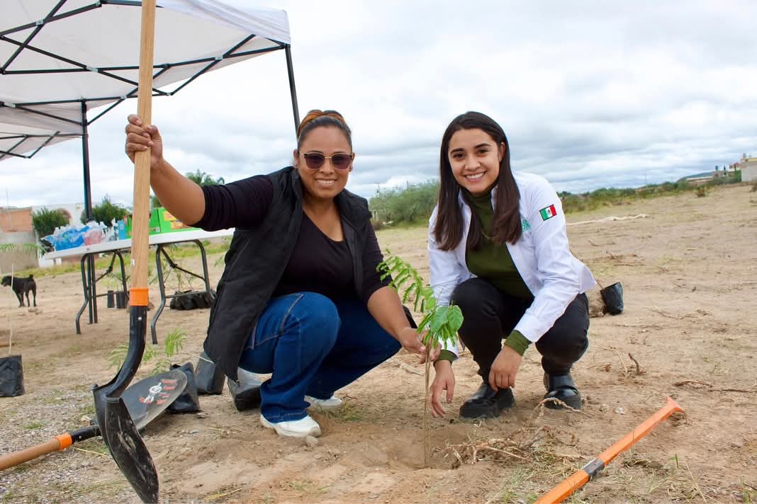 reforestacion jassos pozos