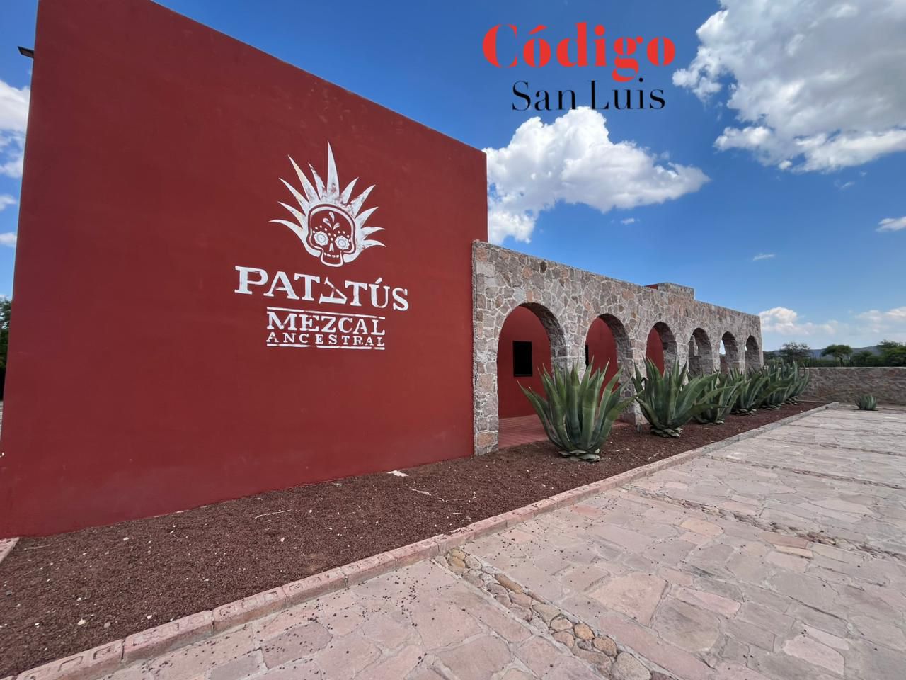 mezcal patatus