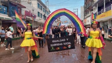 Marcha orgullo Gay Valles David Medina