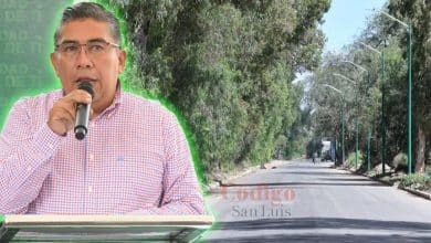 juan manuel navarro soledad