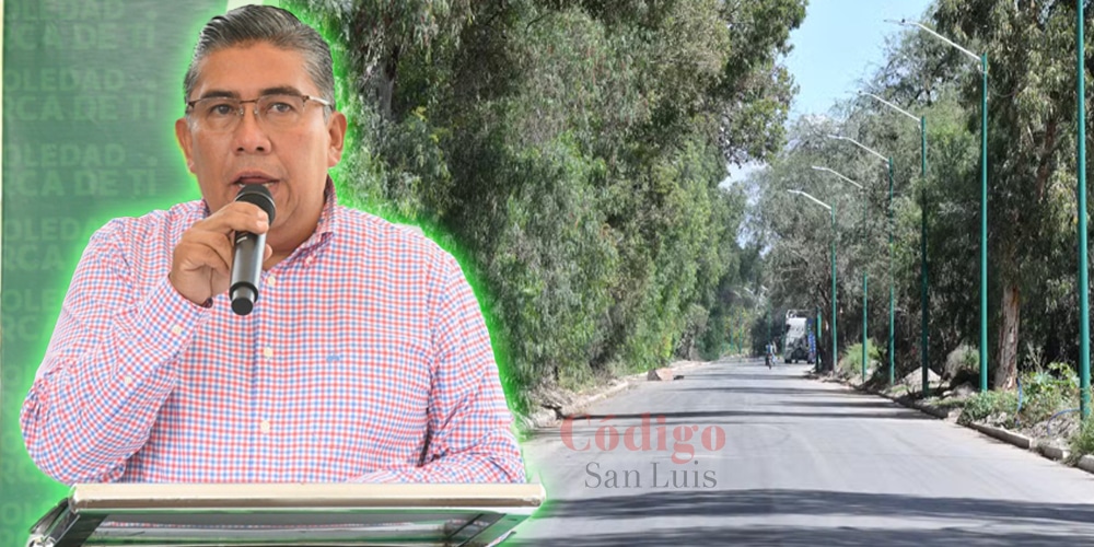 juan manuel navarro soledad