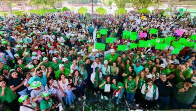 partido verde comité municipal rioverde