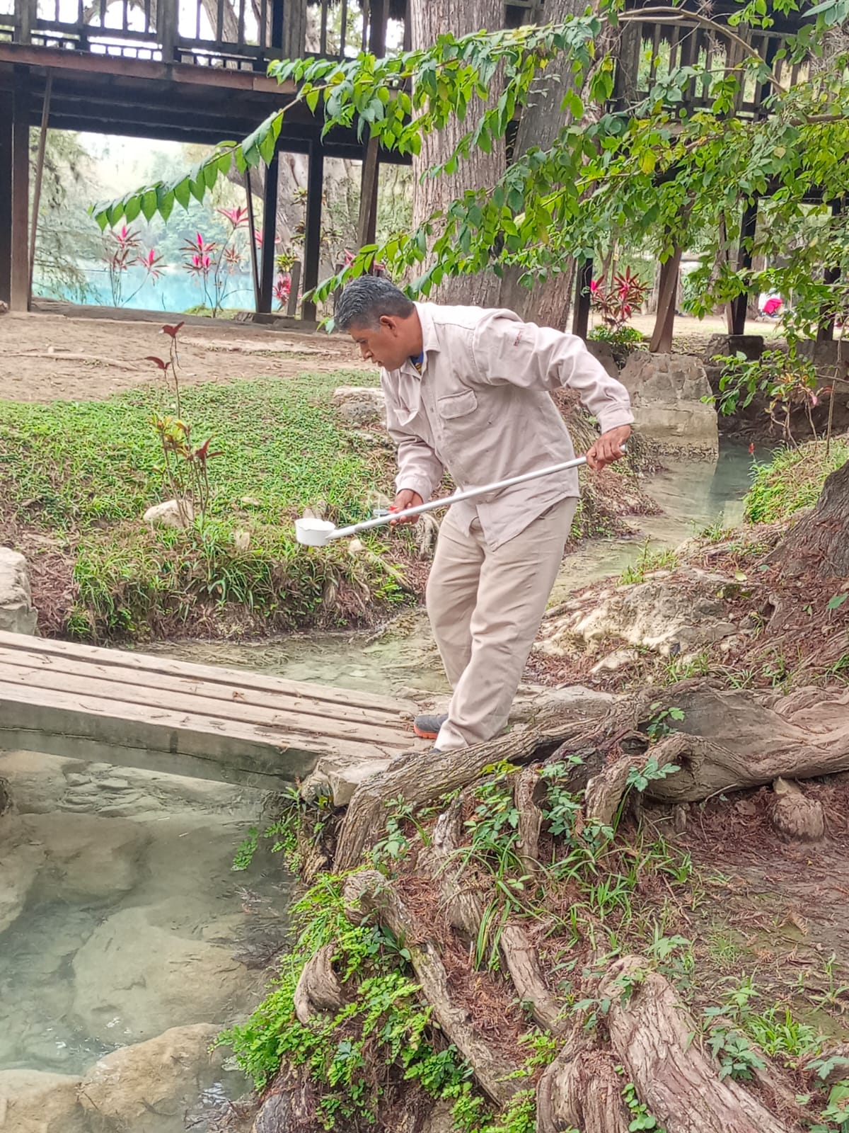 paludismo servicios de salud slp gobierno del estado