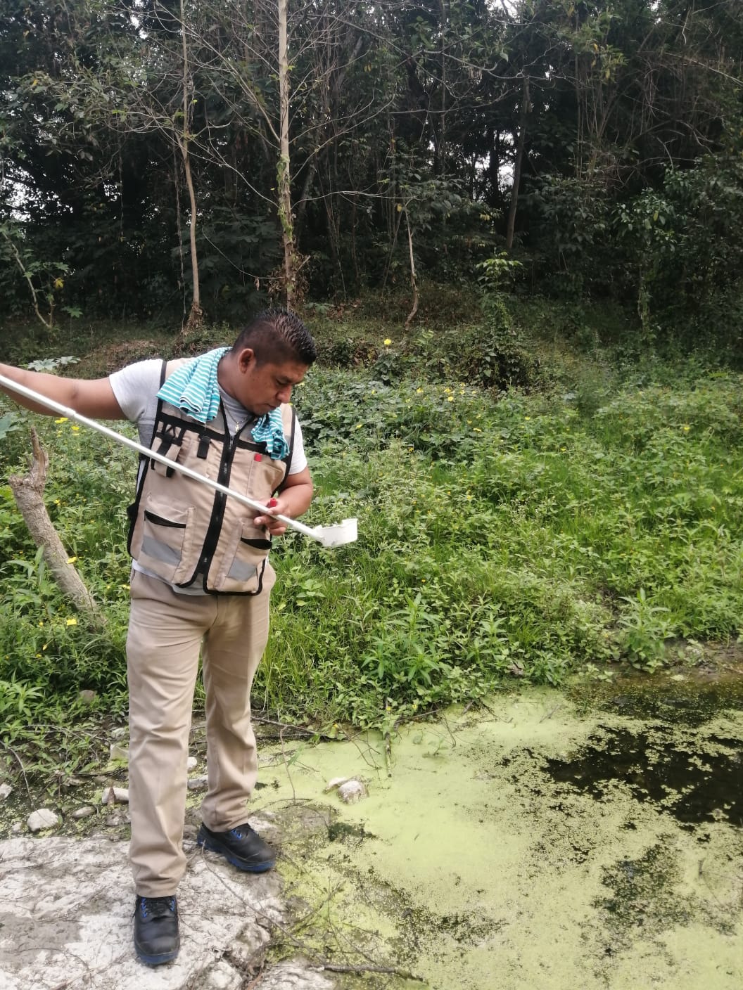 paludismo servicios de salud slp gobierno del estado