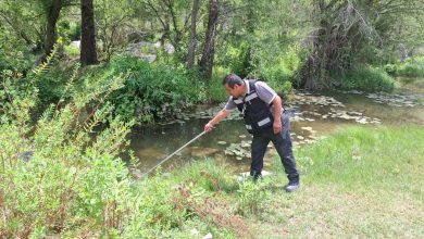 paludismo servicios de salud slp gobierno del estado