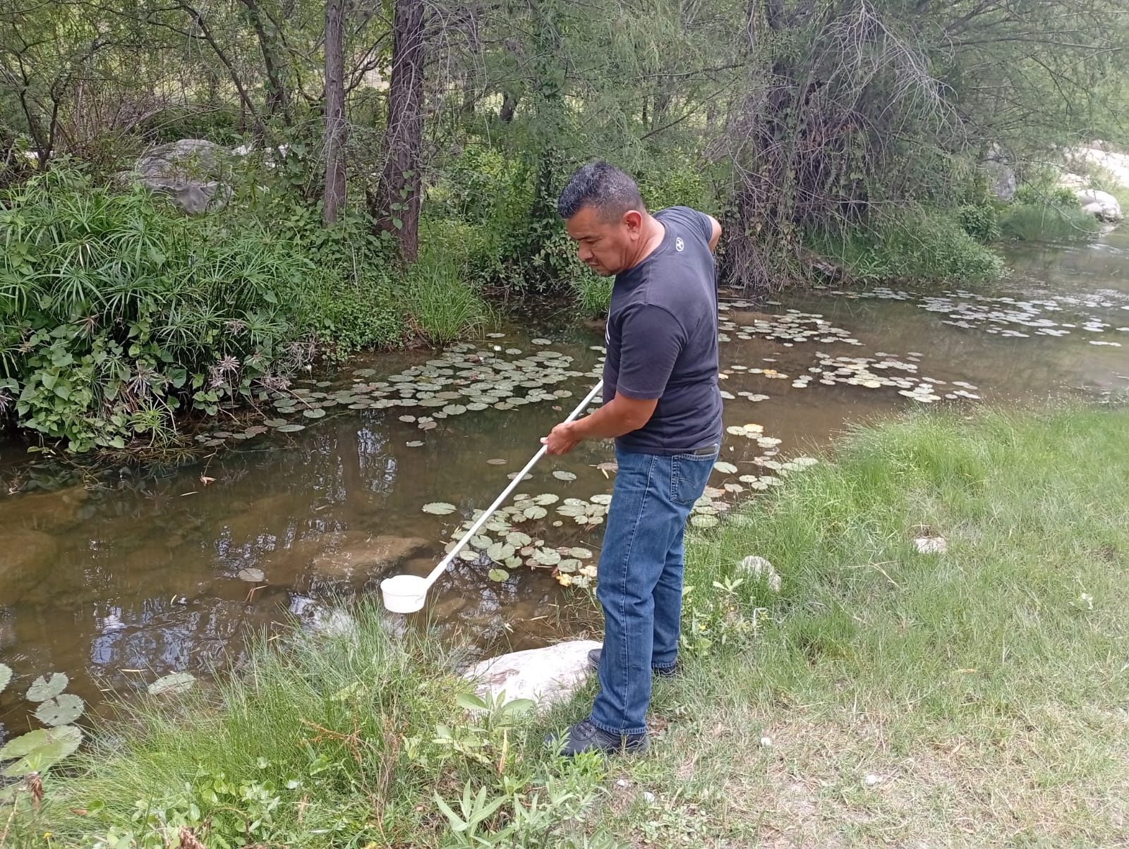 paludismo servicios de salud slp gobierno del estado