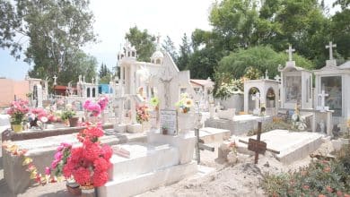 rehabilitación limpieza Día de Muertos