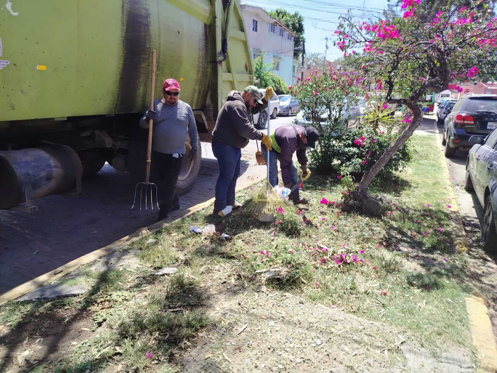 residuos capital slp