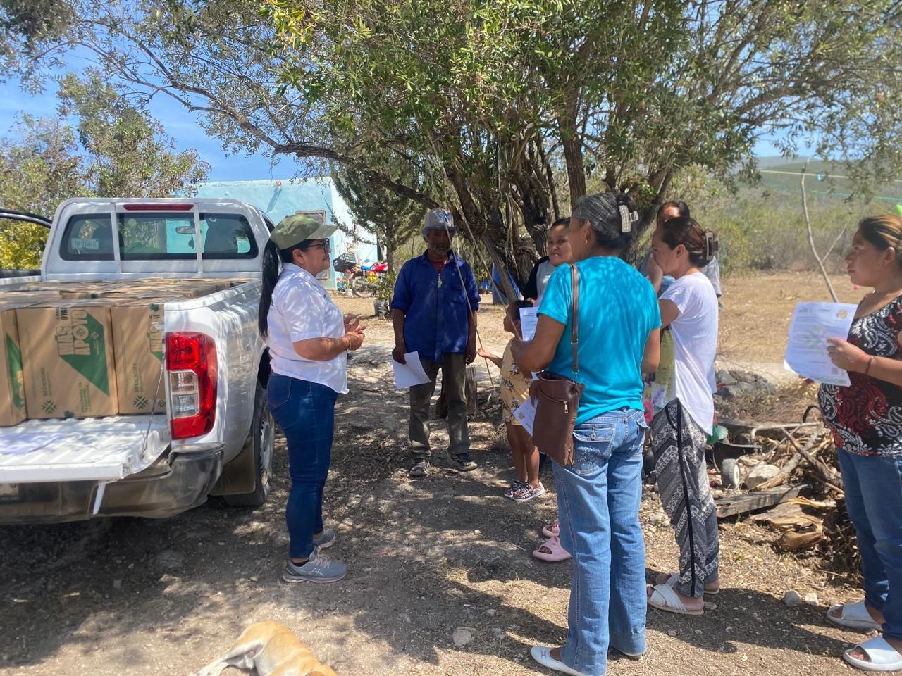 seguridad alimentaria