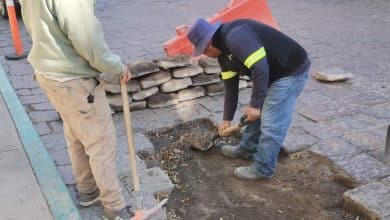 tomasa estevez gobierno municipal slp