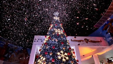 árbol navidad gobierno municipal slp uam