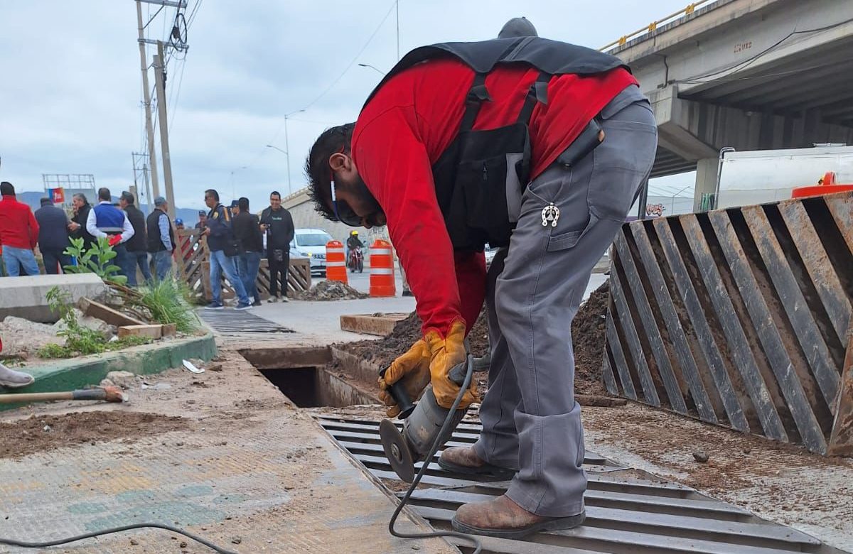 Ayuntamiento rescata la Avenida Salk