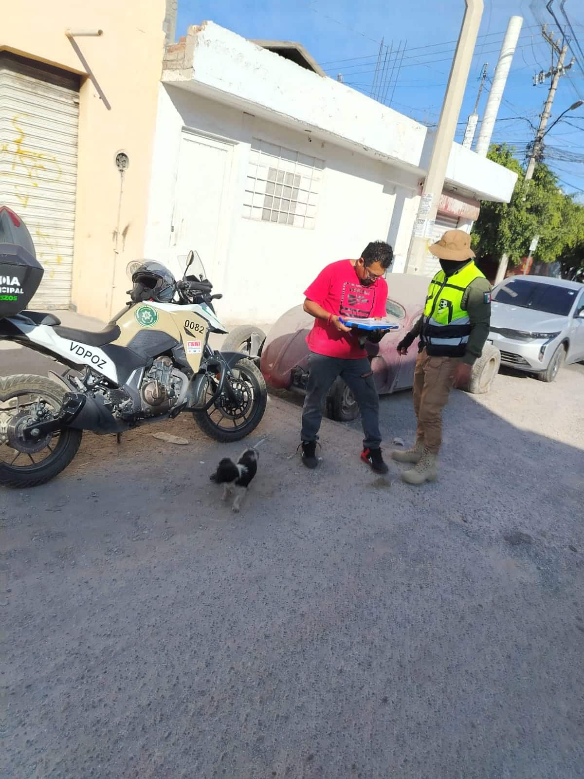 villa de pozos autos abandonados