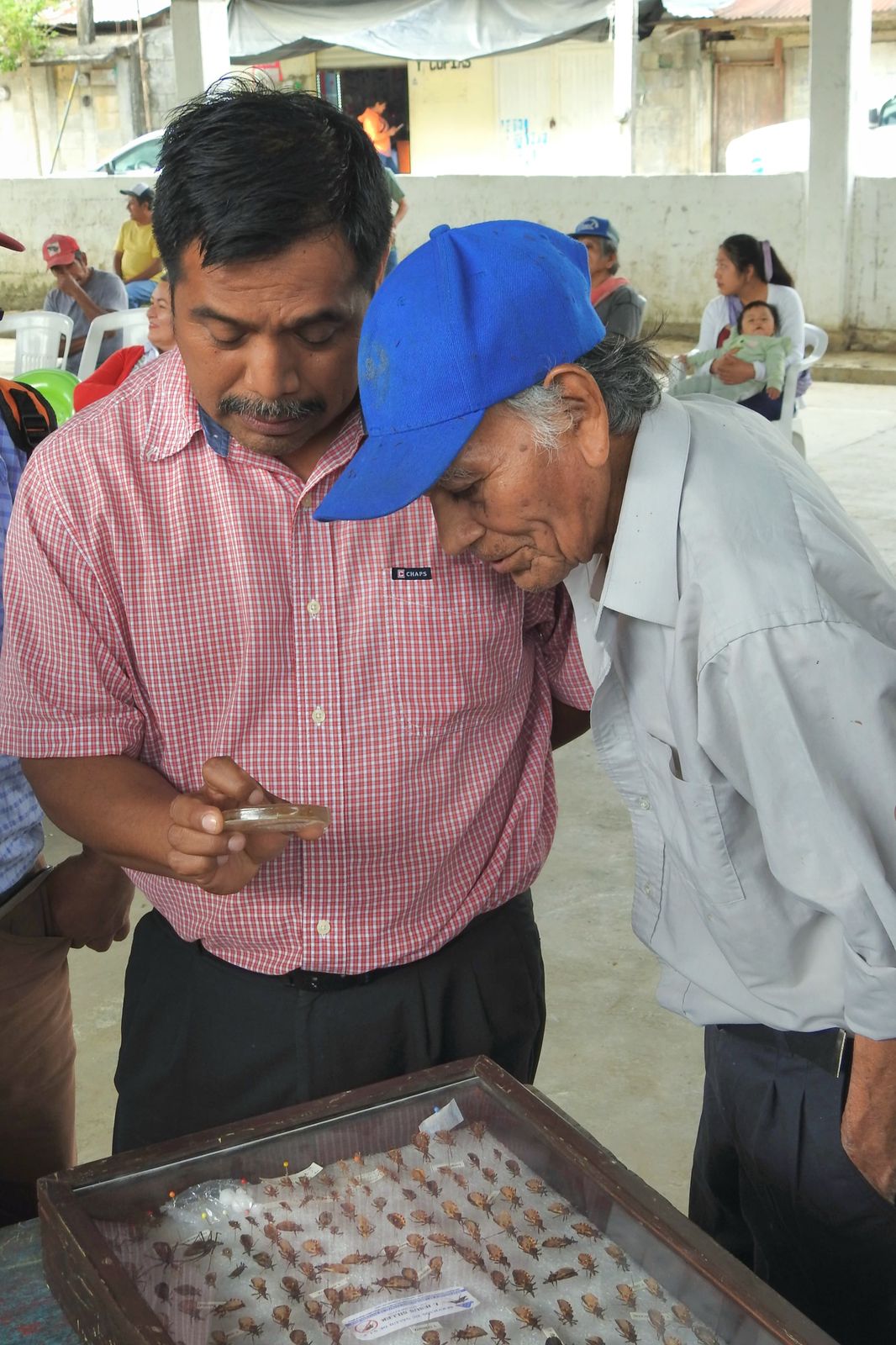 servicios de salud gobierno del estado comunidades originarias