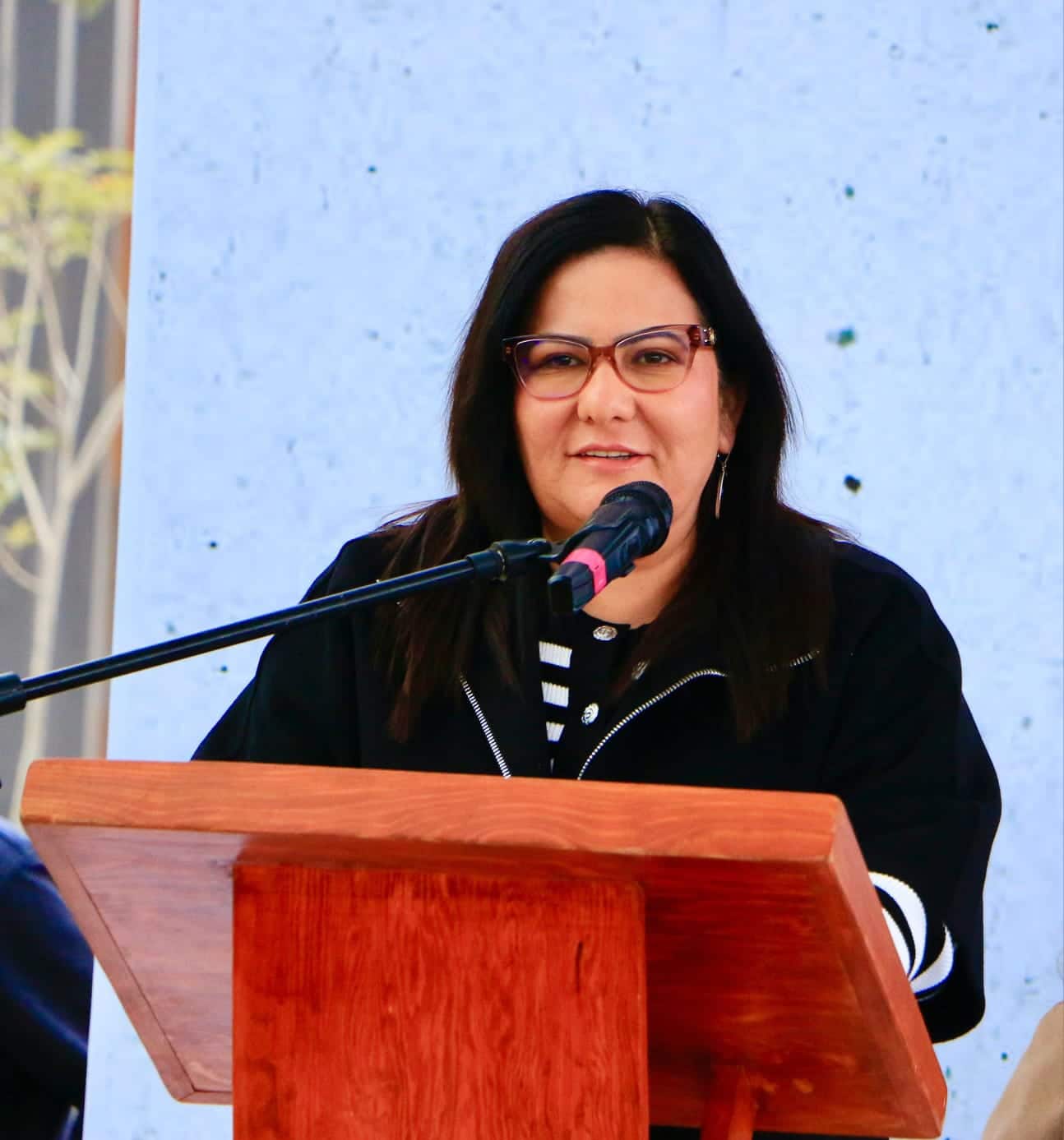 villa de pozos paty aradillas