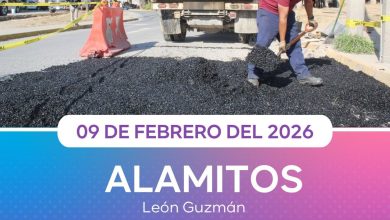 bacheo en tu colonia gobierno municipal slp