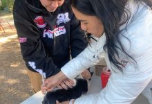 jornada antirrábica gobierno municipal slp salud