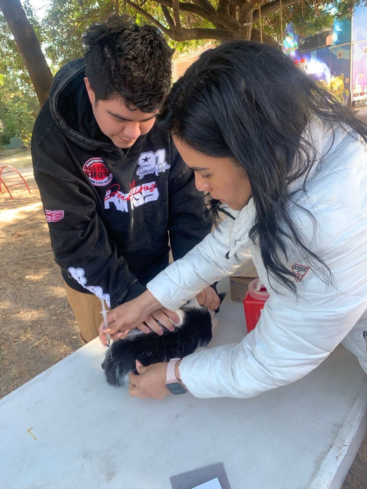 jornada antirrábica gobierno municipal slp salud