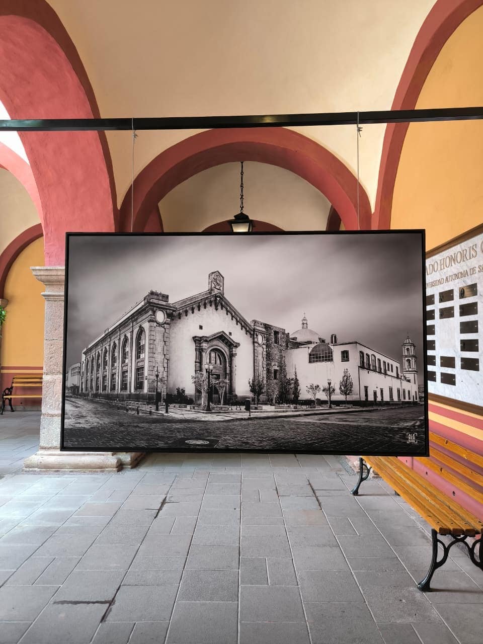 exposición uaslp fotografía