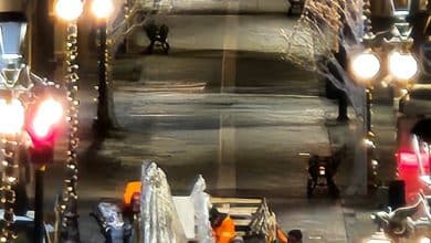 adornos navidad gobierno municipal slp