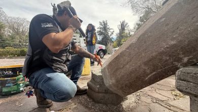 alameda trabajos gobierno municipal slp