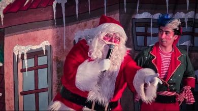 aldea navideña gobierno del estado