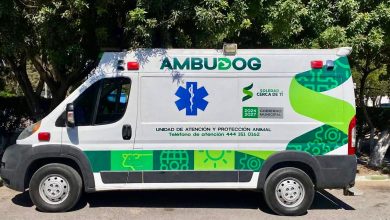 ambudog soledad