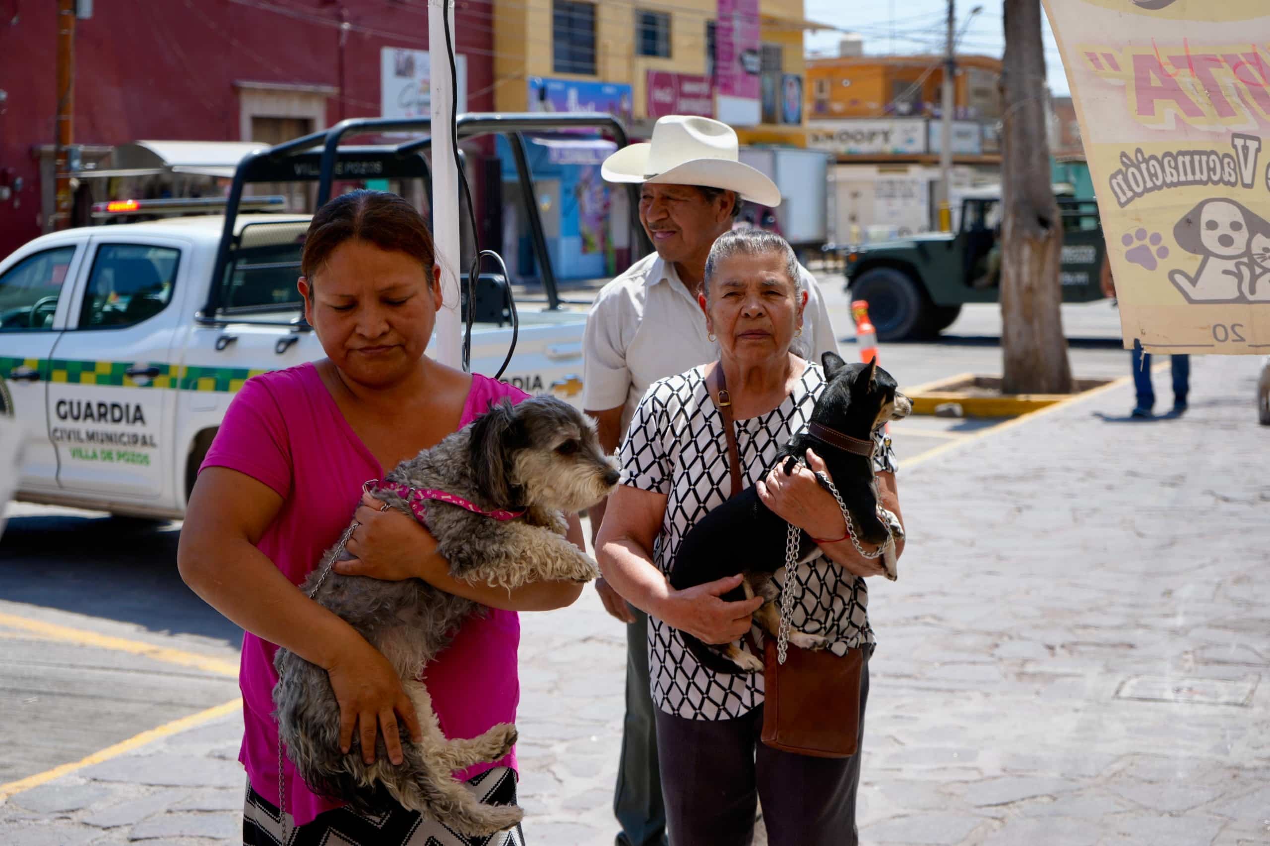 villa de pozos jornada antirrábica