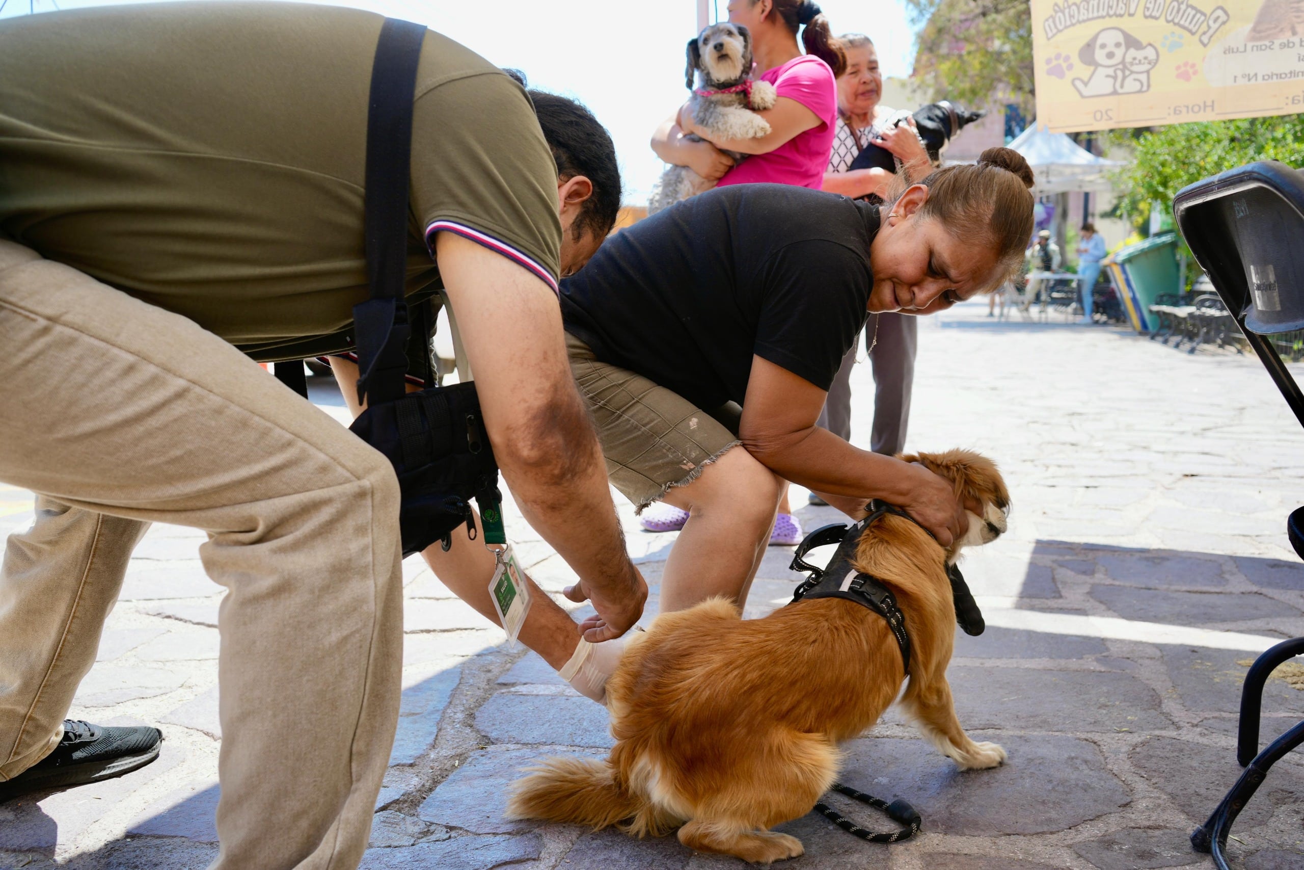 villa de pozos jornada antirrábica