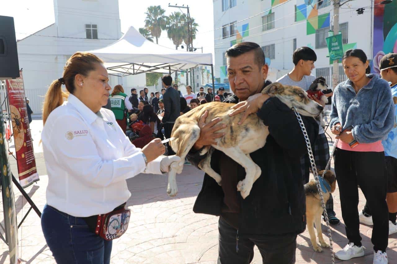 vacunas antirrábicas salud gobierno del estado