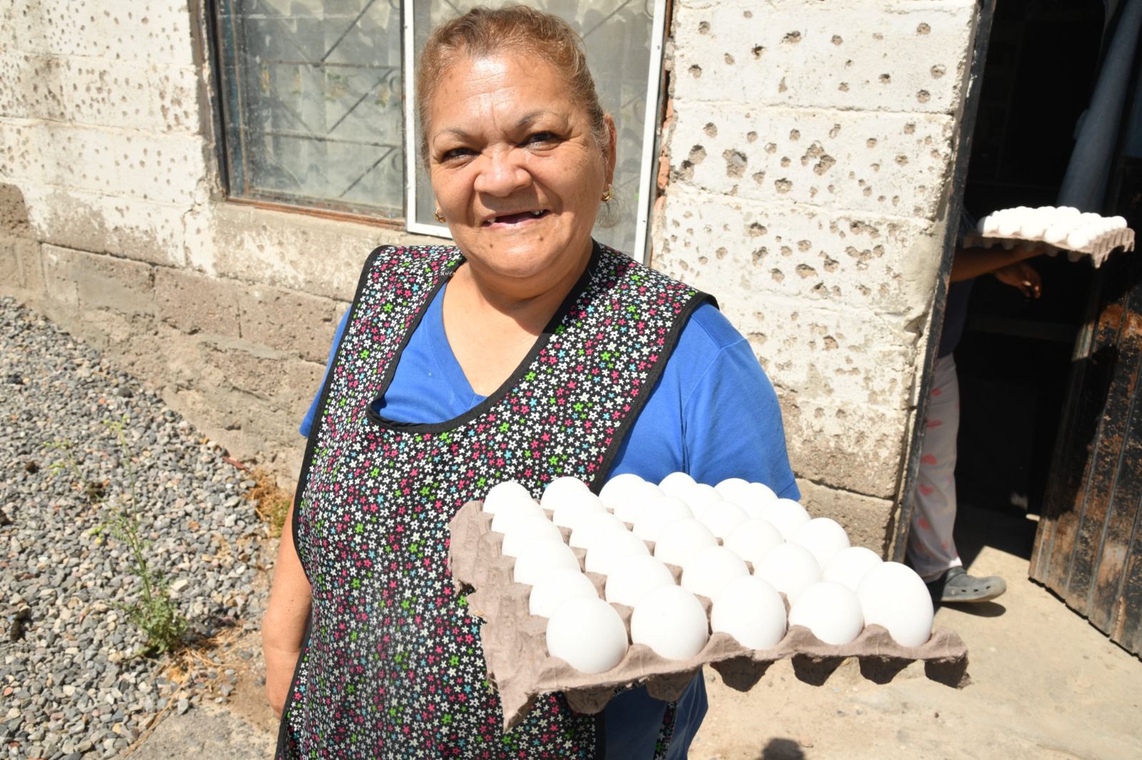 apoyo alimentario soledad