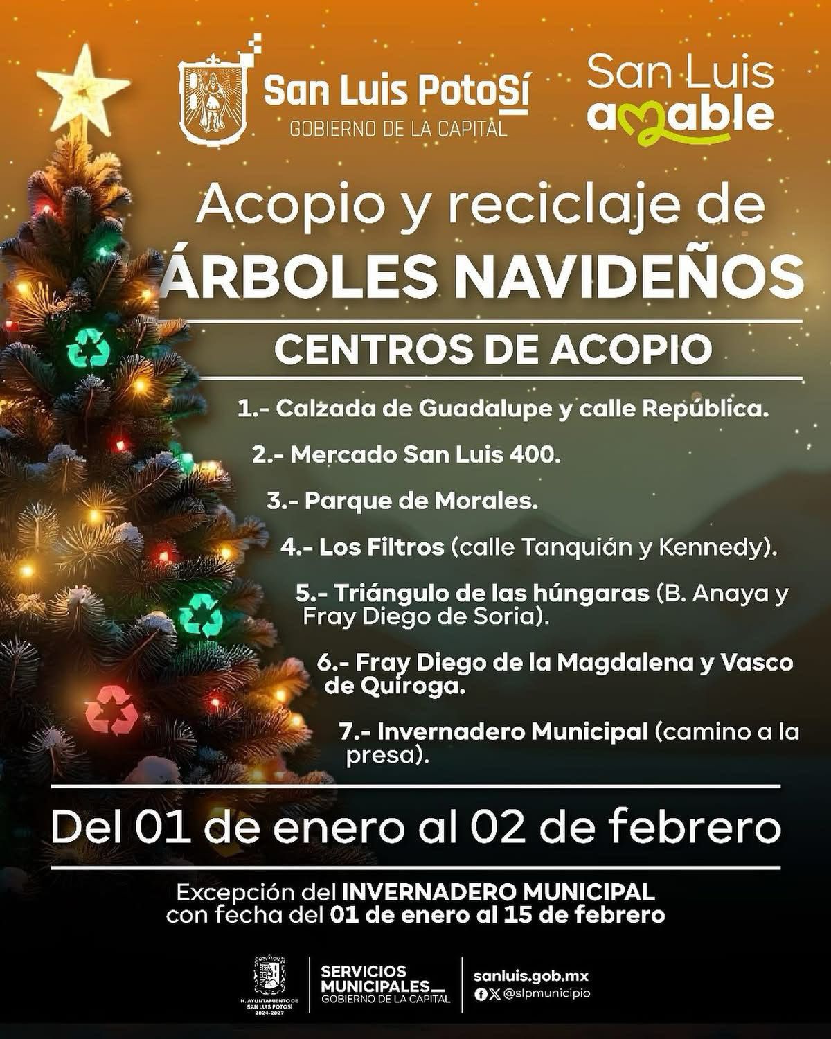 arboles navidad gobierno municipal slp