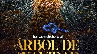 árbol de navidad gobierno municipal slp