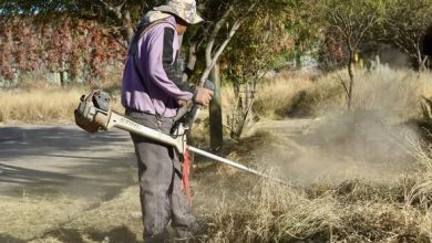 áreas verdes gobierno municipal slp