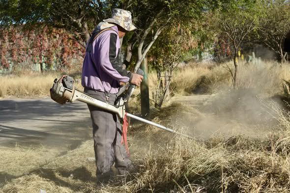 áreas verdes gobierno municipal slp