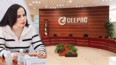 finanzas ceepac