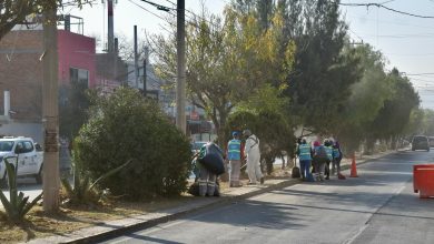 avenida juárez gobierno municipal slp