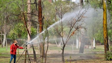 Gobierno de la Capital mantiene vivo el Parque de Morales con riego diario