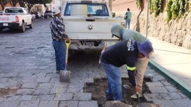 bacheo gobierno municipal slp