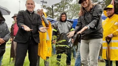 Gobierno de la Capital e iniciativa privada reforestan La Garita