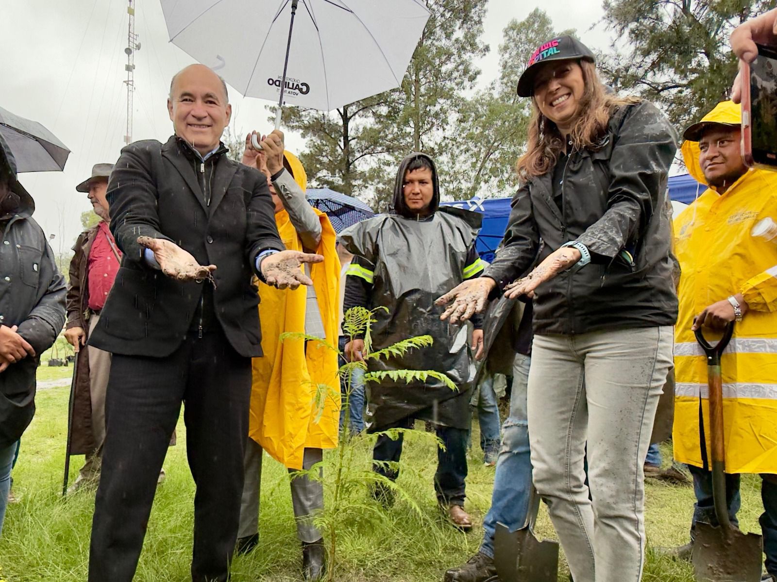 Gobierno de la Capital e iniciativa privada reforestan La Garita